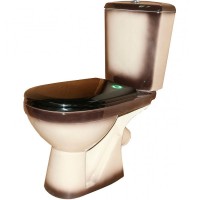 Унитаз компакт Rosa Комфорт 4620008191034 Черный декор с бачком и сиденьем