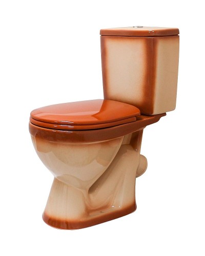 Унитаз компакт Rosa Лира 4620008192086 Коричневый декор с бачком и сиденьем