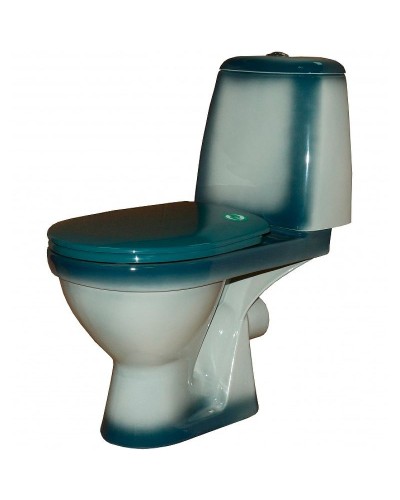 Унитаз компакт Rosa Премьер 4620008191157 Зеленый декор с бачком и сиденьем
