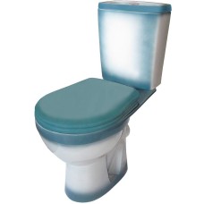 Унитаз компакт Rosa Рио 4640021065730 Зеленый декор с бачком и сиденьем