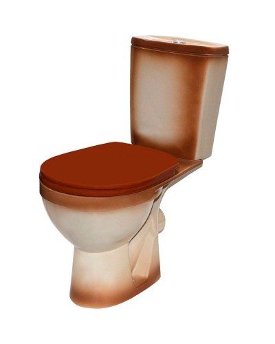 Унитаз компакт Rosa Рио 4640021065747 Коричневый декор с бачком и сиденьем