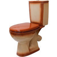 Унитаз компакт Rosa Уют 4630055558797 Коричневый декор с бачком и сиденьем