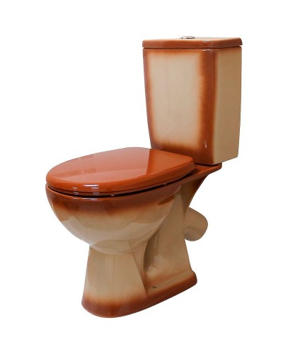 Унитаз компакт Rosa Уют 4630055558797 Коричневый декор с бачком и сиденьем