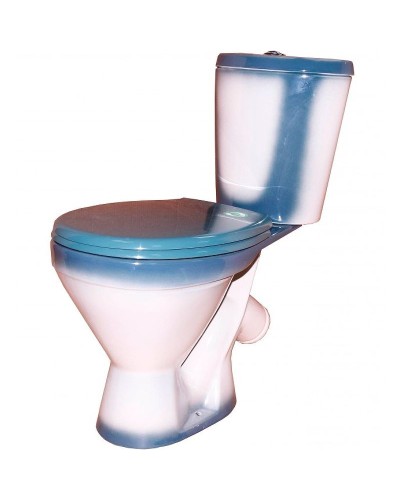 Унитаз компакт Rosa Элегант 4620008195711 Зеленый декор с бачком и сиденьем