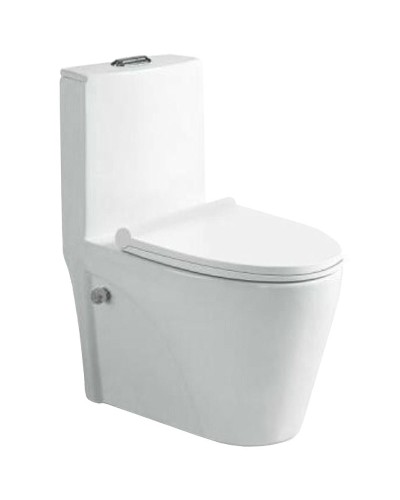 Унитаз биде SantiLine SL-5012SM-BD с сиденьем Микролифт