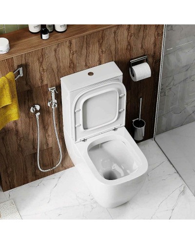 Унитаз компакт Cerutti SPA Chika CT8708 с бачком и сиденьем Микролифт