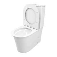 Унитаз компакт Cerutti SPA Avisio CT8459 с бачком и сиденьем Микролифт