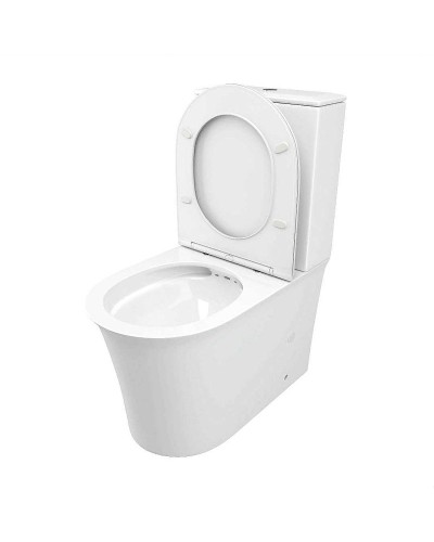 Унитаз компакт Cerutti SPA Avisio CT8459 с бачком и сиденьем Микролифт