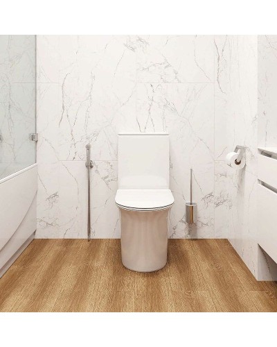 Унитаз компакт Cerutti SPA Avisio CT8459 с бачком и сиденьем Микролифт