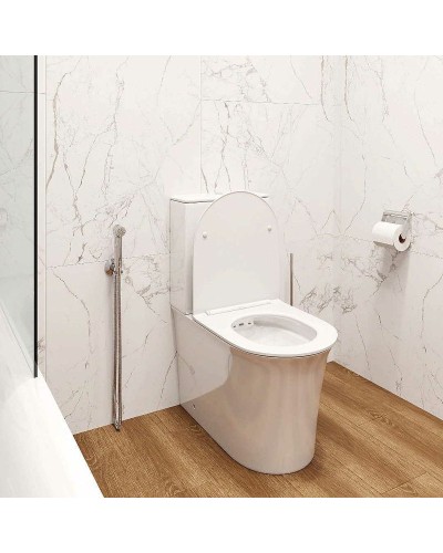 Унитаз компакт Cerutti SPA Avisio CT8459 с бачком и сиденьем Микролифт