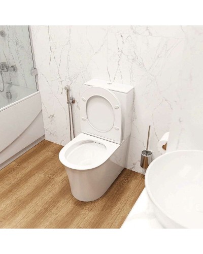 Унитаз компакт Cerutti SPA Avisio CT8459 с бачком и сиденьем Микролифт