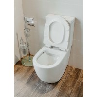 Унитаз компакт Creto Logan L1 1001-004-WF без бачка и с сиденьем Микролифт