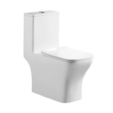 Унитаз-моноблок с сиденьем дюропласт soft close, P-trap BelBagno NEON BB8617CPR-MN/SC
