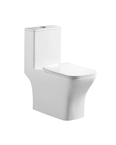 Унитаз-моноблок с сиденьем дюропласт soft close, P-trap BelBagno NEON BB8617CPR-MN/SC