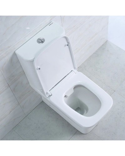 Чаша напольного безободкового унитаза BelBagno Monica BB805CPR