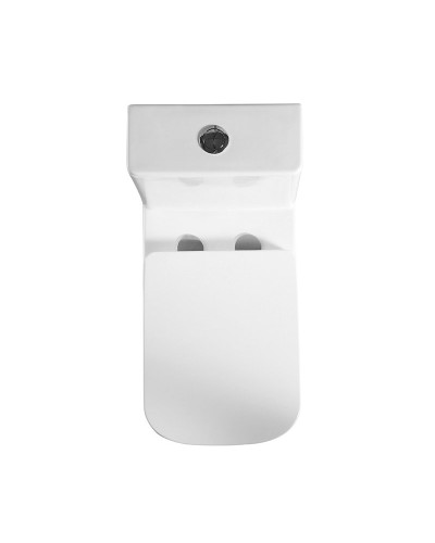 Унитаз-моноблок с сиденьем дюропласт soft close, P-trap BelBagno NEON BB8617CPR-MN/SC