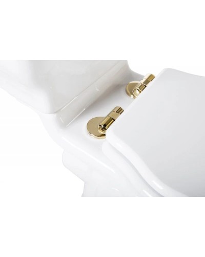 Чаша напольного унитаза BelBagno Boheme BB115CP