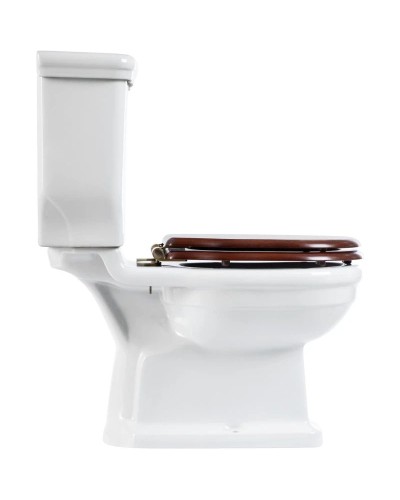 Чаша напольного унитаза BelBagno Boheme BB115CPS