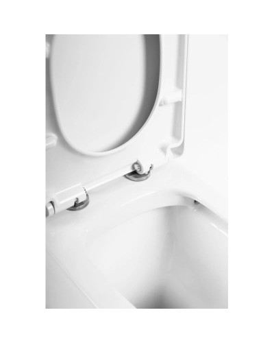 Чаша напольного безободкового унитаза BelBagno Flay-R BB007CPR