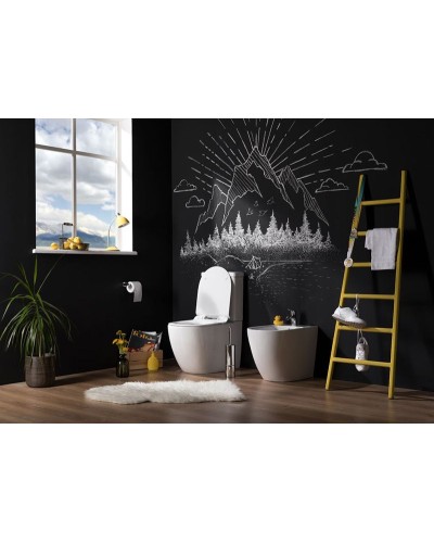 Чаша унитаза-компакта Aquanet Cetus C1 Rimless 00203342 без бачка, с сиденьем Микролифт