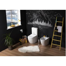 Чаша унитаза-компакта Aquanet Cetus C1 Rimless 00203342 без бачка, с сиденьем Микролифт