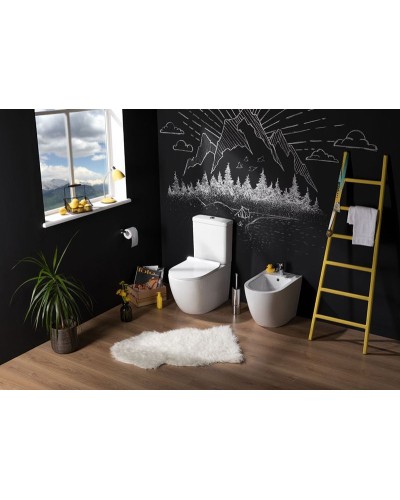 Чаша унитаза-компакта Aquanet Cetus C1 Rimless 00203342 без бачка, с сиденьем Микролифт