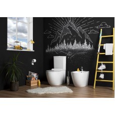 Чаша унитаза-компакта Aquanet Cetus C1 Rimless 00203342 без бачка, с сиденьем Микролифт