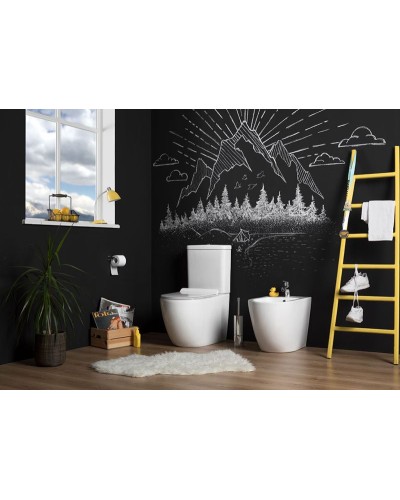 Чаша унитаза-компакта Aquanet Cetus C1 Rimless 00203342 без бачка, с сиденьем Микролифт