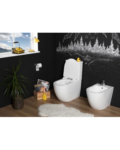 Чаша унитаза-компакта Aquanet Cetus C1 Rimless 00203342 без бачка, с сиденьем Микролифт