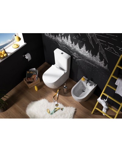 Чаша унитаза-компакта Aquanet Cetus C1 Rimless 00203342 без бачка, с сиденьем Микролифт