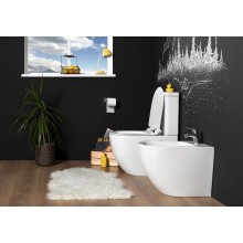 Чаша унитаза-компакта Aquanet Cetus C1 Rimless 00203342 без бачка, с сиденьем Микролифт