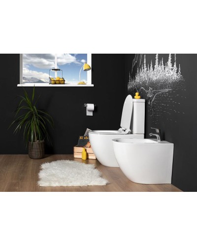 Чаша унитаза-компакта Aquanet Cetus C1 Rimless 00203342 без бачка, с сиденьем Микролифт