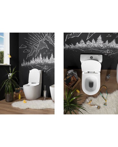 Чаша унитаза-компакта Aquanet Cetus C1 Rimless 00203342 без бачка, с сиденьем Микролифт