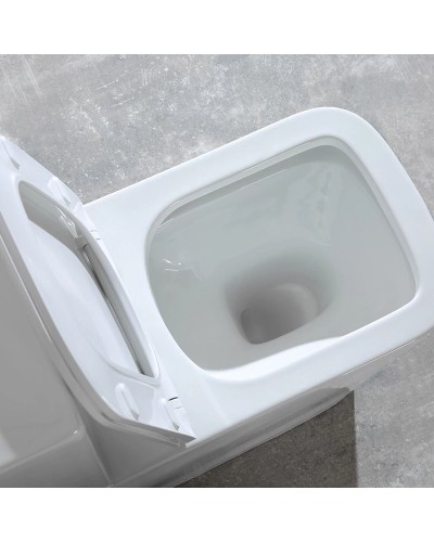 Унитаз-компакт с сиденьем микролифт Vincea Hope VT2-201