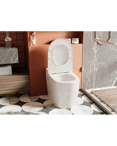 Напольный унитаз с сиденьем микролифт с импульсным смывом Abber Bequem AC1115P