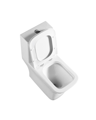 Унитаз-моноблок с сиденьем дюропласт soft close, P-trap BelBagno NEON BB8617CPR-MN/SC