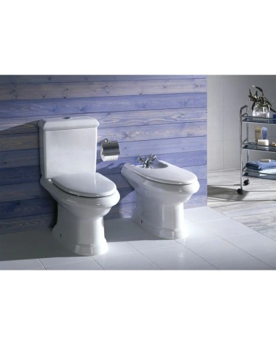 Чаша напольного унитаза Roca America 342497000