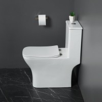 Унитаз-моноблок с сиденьем дюропласт soft close, P-trap BelBagno NEON BB8617CPR-MN/SC