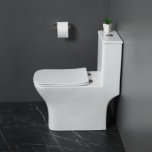 Унитаз-моноблок с сиденьем дюропласт soft close, P-trap BelBagno NEON BB8617CPR-MN/SC
