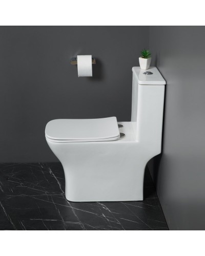 Унитаз-моноблок с сиденьем дюропласт soft close, P-trap BelBagno NEON BB8617CPR-MN/SC