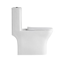 Унитаз-моноблок с сиденьем дюропласт soft close, P-trap BelBagno NEON BB8617CPR-MN/SC