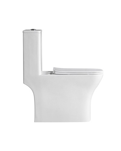 Унитаз-моноблок с сиденьем дюропласт soft close, P-trap BelBagno NEON BB8617CPR-MN/SC