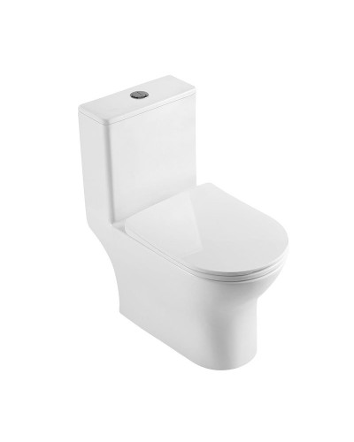 Унитаз-моноблок с сиденьем дюропласт soft close, P-trap BelBagno LOUNGE BB8618CPR-MN/SC