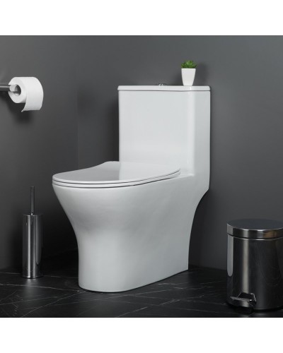 Унитаз-моноблок с сиденьем дюропласт soft close, P-trap BelBagno LOUNGE BB8618CPR-MN/SC