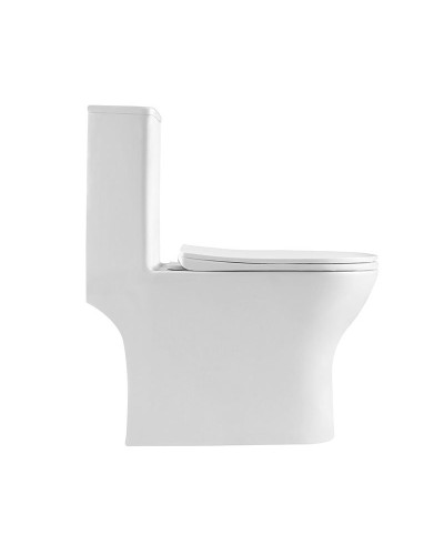 Унитаз-моноблок с сиденьем дюропласт soft close, P-trap BelBagno LOUNGE BB8618CPR-MN/SC