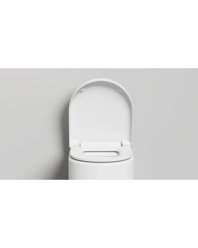 Унитаз подвесной Salini S-Stone Gemelli 240121KSM безободковый, с сиденьем микролифт, белый матовый