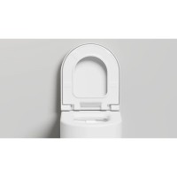 Унитаз подвесной Salini S-Stone Gemelli 240121KSM безободковый, с сиденьем микролифт, белый матовый