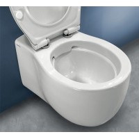 Унитаз Hatria Le Fiabe Y1CD подвесной без сиденья