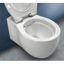 Унитаз Hatria Le Fiabe Y1CD подвесной без сиденья