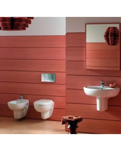 Унитаз Jacob Delafon Brive E4345G-00 подвесной без сиденья